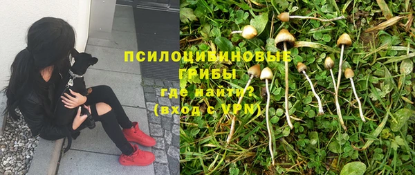 каннабис Аркадак
